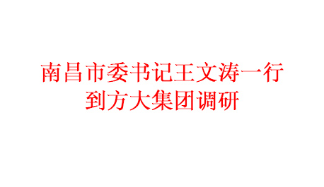 为推进项目建设 加快产业发展南昌市委书记王文涛一行到方大集团调研